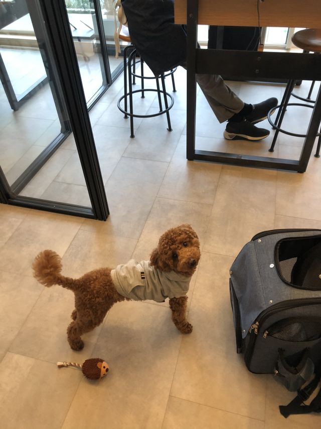 愛犬も一緒に作ることができ、対応や気遣いが良かったです。