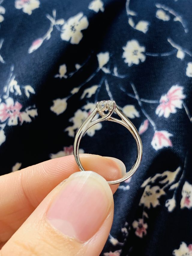 横から見た時の立ち上がりも綺麗です。