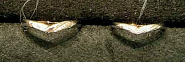 シンプルで長くつけられそうなデザインで２人とも気に入り購入