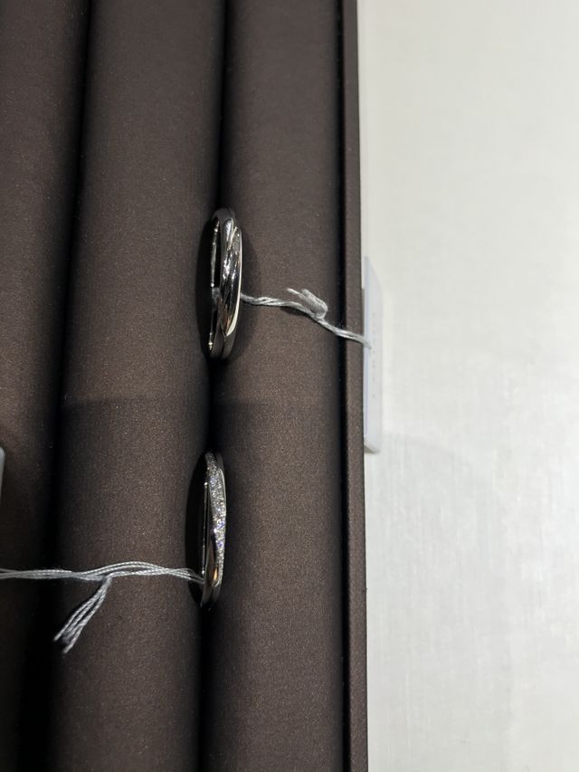 ヘラクレス　キラキラしたラインがとても綺麗でした。