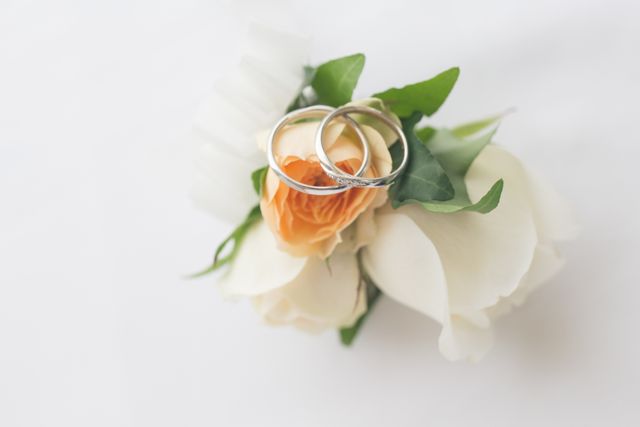 アイプリモのルキナです
