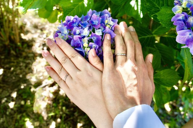 シンプルなデザインでに惹かれました