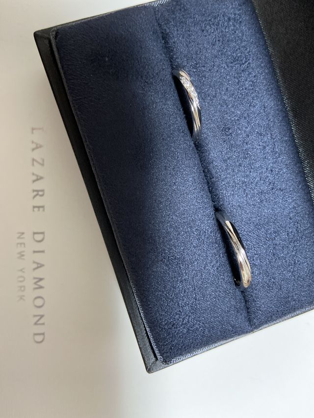 レンブラント　ペアリング