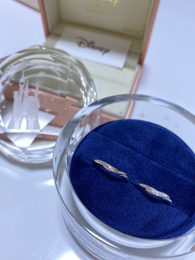 シンデレラデザイン専用のガラスケースも頂けます。