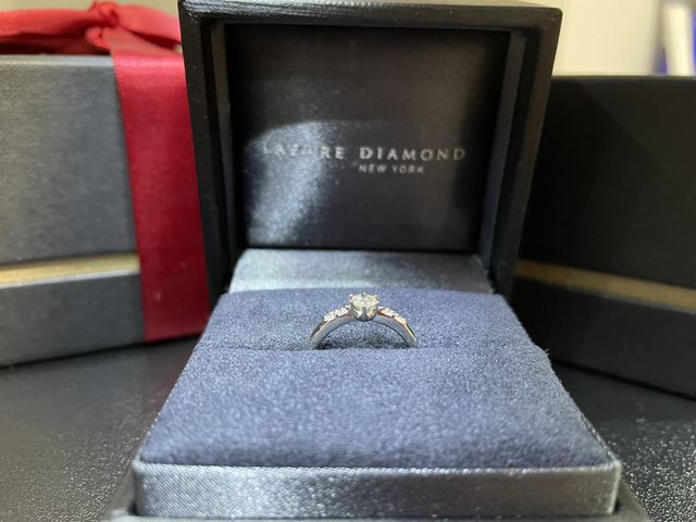 横から見た画像