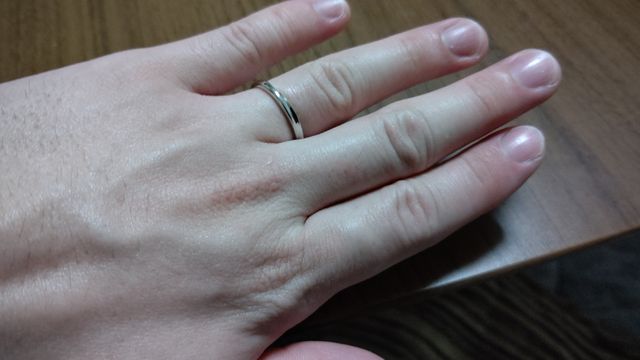 派手なのは苦手なのでちょうどよいデザインで気に入っています