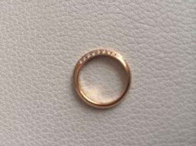 全体を取った写真