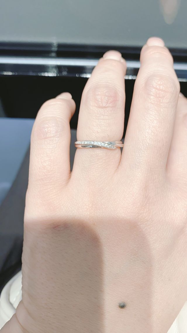 ファビオラ姫をイメージして作られそうです。