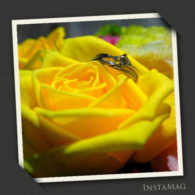 ハーモニーセットリング