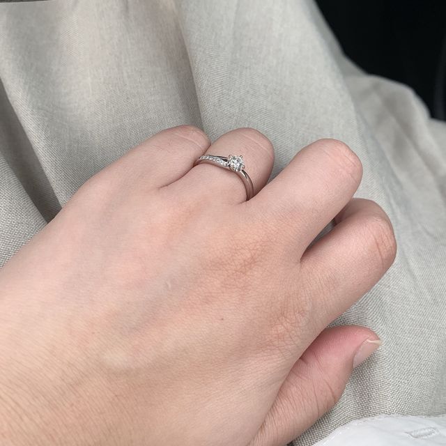 プラス 北極星 北斗七星