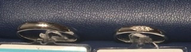 ティアオブリリー