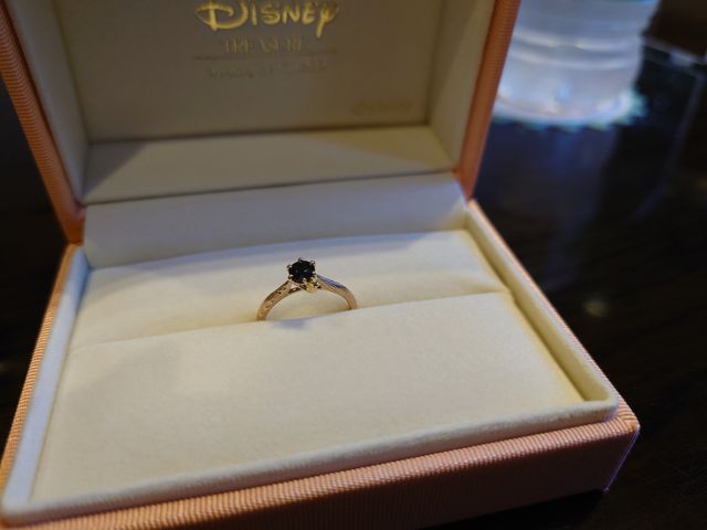 頂いたディズニーのボックス。