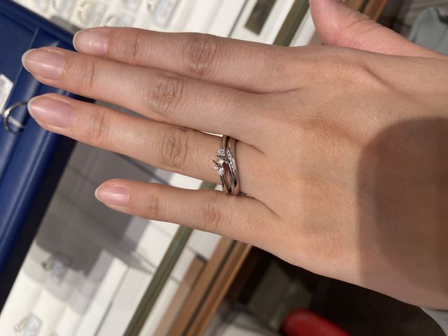 セットリングです。