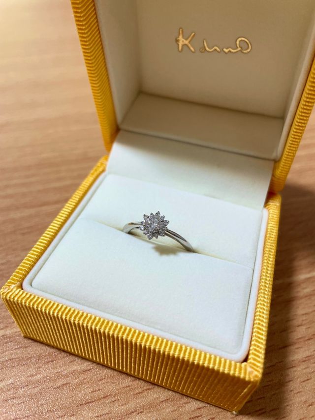 購入直後の、ケース含めた写真