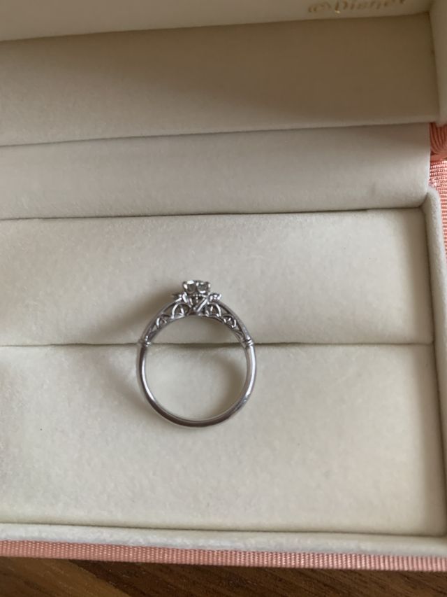 シンデレラのガラスの靴、お城の塀のデザインが見えます