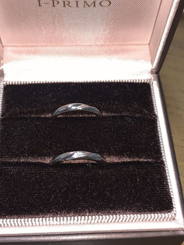 光が当たるとキラキラしていたのが印象的です。