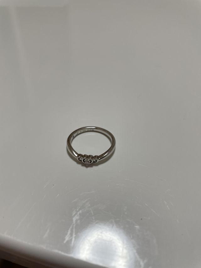 シンデレラデザインでテンションが上がります！