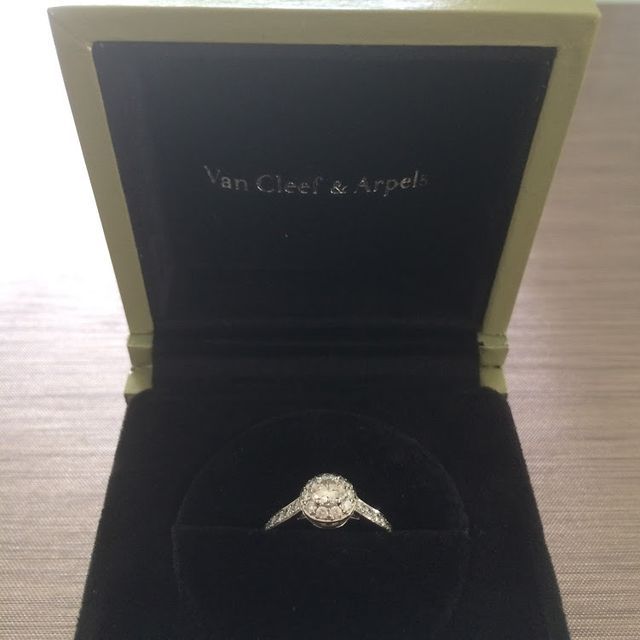 ケースに入れて