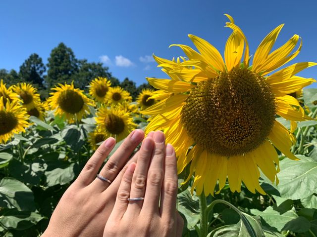 お互いシンプルですが、少しひねりが入っていて素敵なリングです