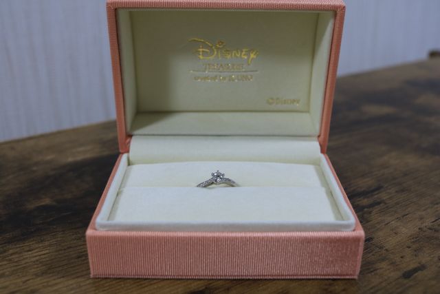 大好きなディズニーのファンタジアデザインを選びました。