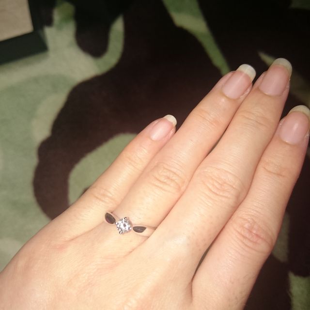 着用した状態です。