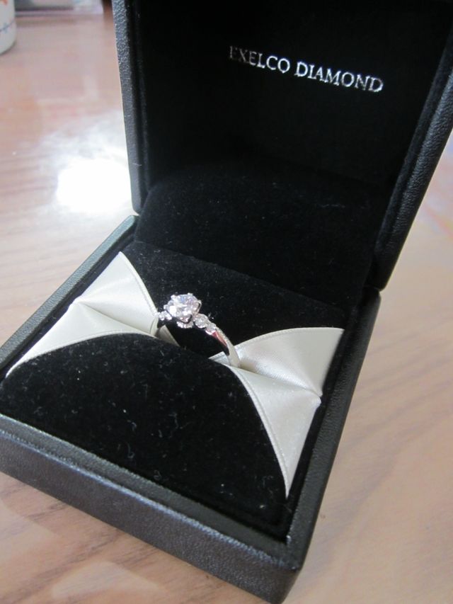 斜め上からの図です。