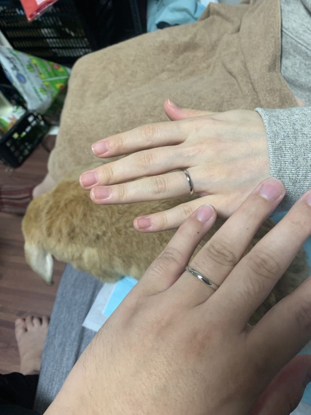 ペットと一緒に