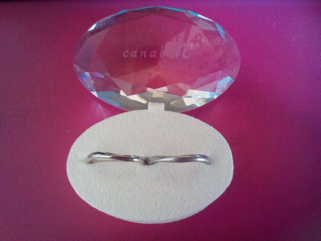 専用台座に入れてもらえます。