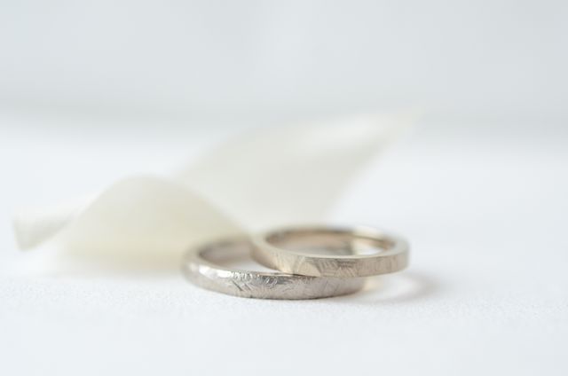 お店からもらった写真です