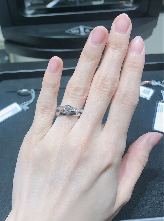 タンドルモン(マリッジ)
ロマンス(エンゲージ)