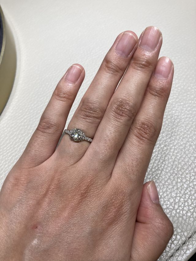 写真では分かりにくいですがキラキラしていました