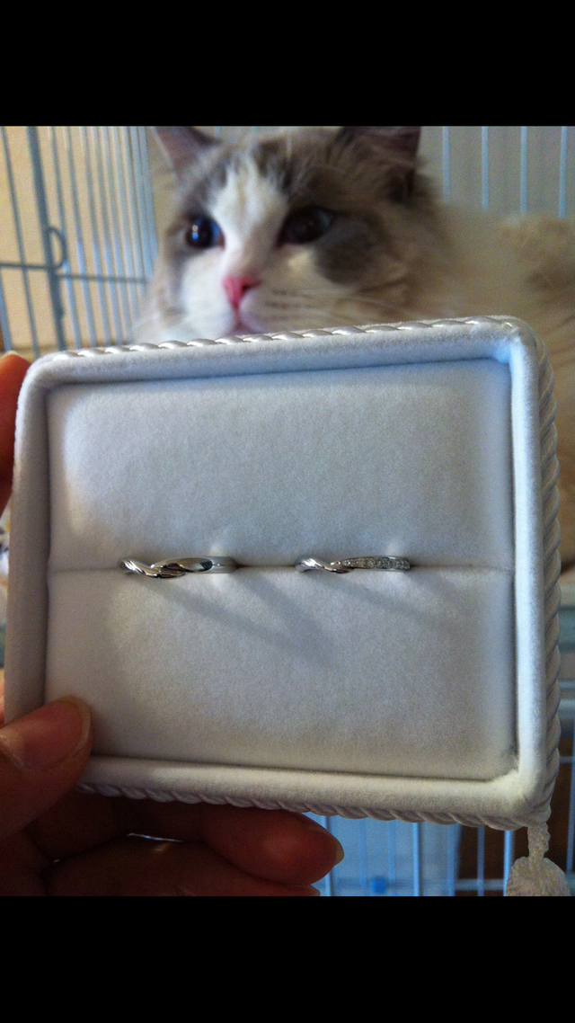 出来上がったときの指輪です