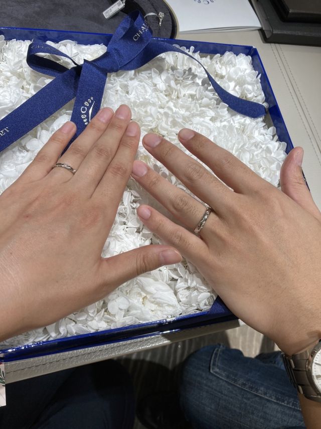 引きで見てもキラキラと輝いています