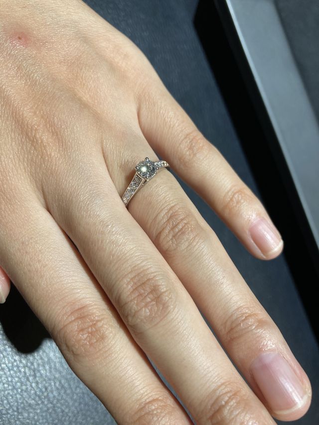 アップで撮ってみました、輝きが写りこんでいます