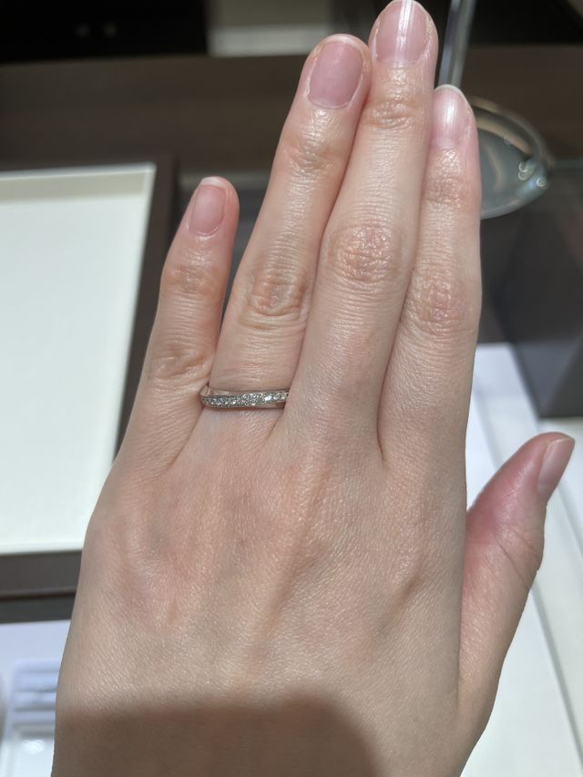 綺羅のデザインです。