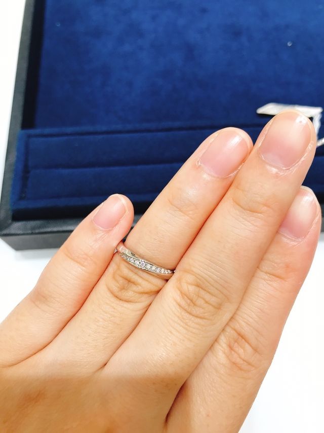 途中までしか入りませんでした。