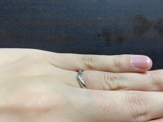 横から見ても綺麗な形です。