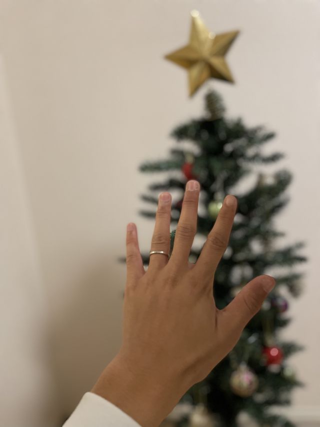 丁度クリスマスツリーを飾ったので背景に選びました。