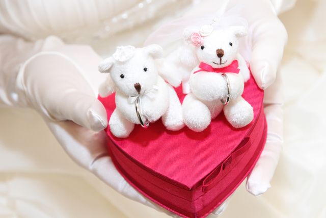 挙式で使えるケース付でした