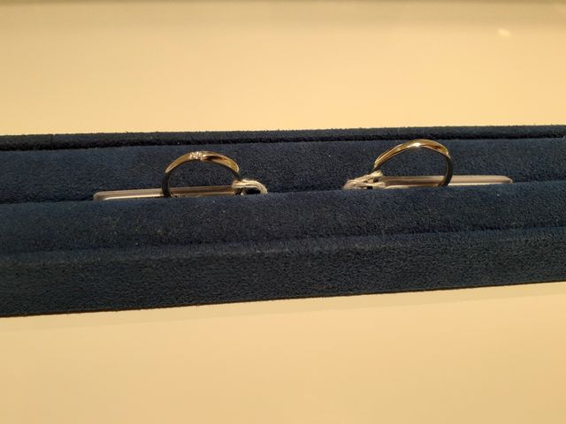 去年の冬からずっと気になっていたものです。