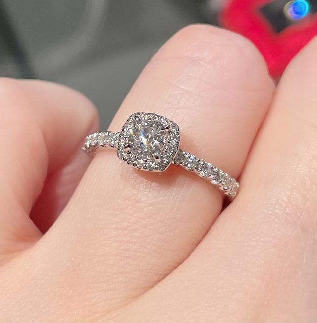 ビューシャトー