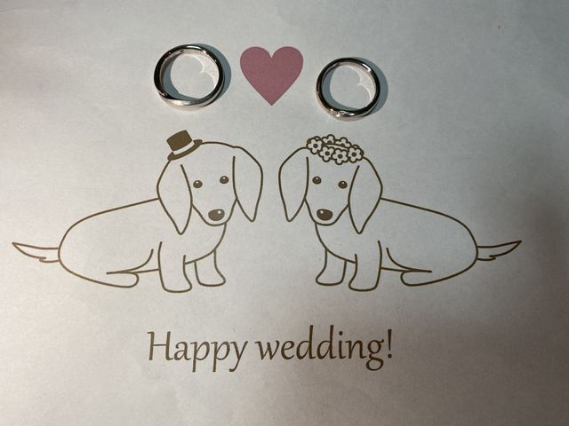 わんこを飼っているので婚姻届にも指輪を載せて撮ってみました