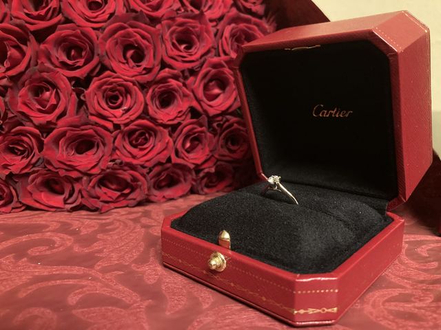 全体が見える写真