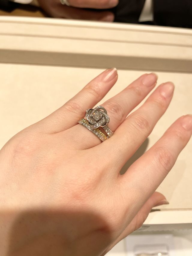 ピヴォワンヌ×キャトルラディアント