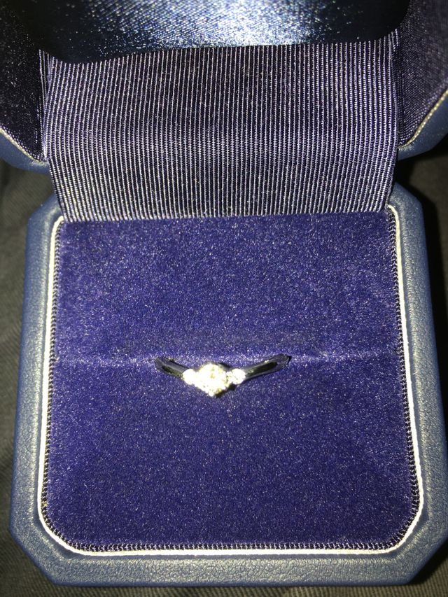 購入した写真になります。とても綺麗に撮れております。