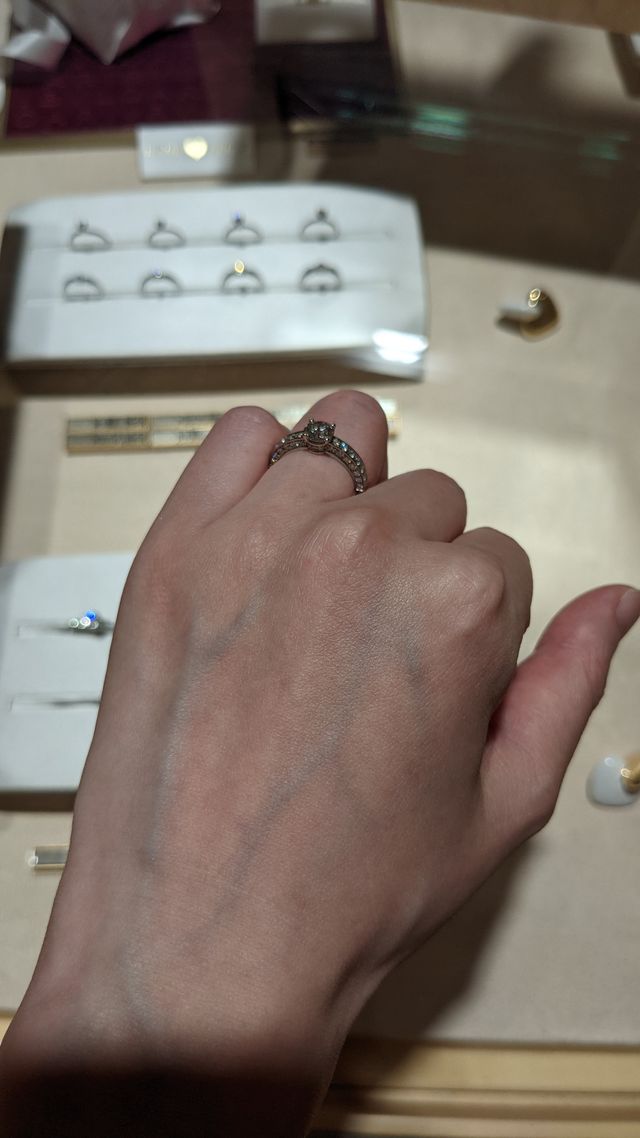 デディカータ・ア・ヴェネチア