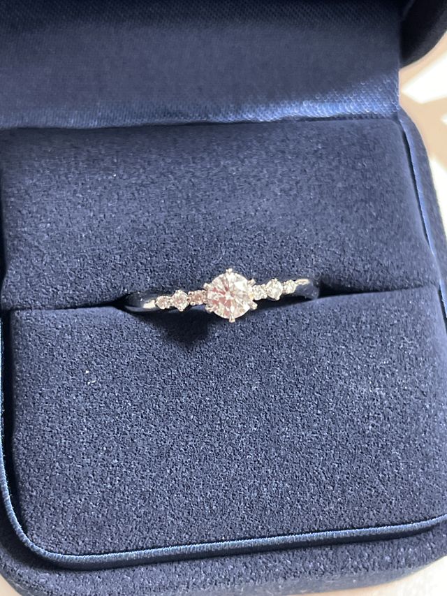 ケースに入った状態