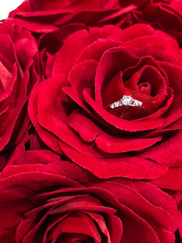 クリスマス仕様の写真を撮りました。