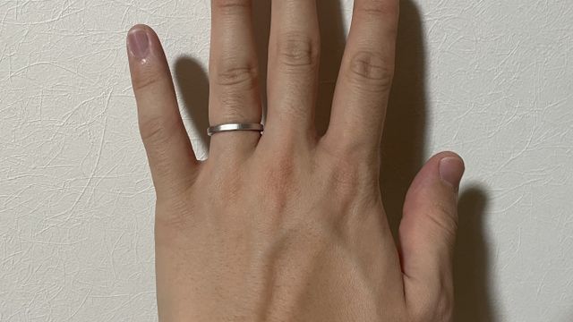 着用時の写真です。ピッタリです。