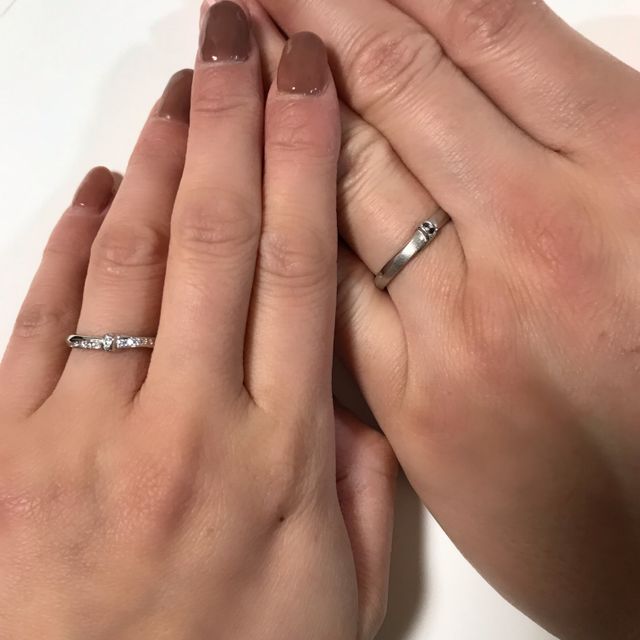 今年の新作フェデリングです。